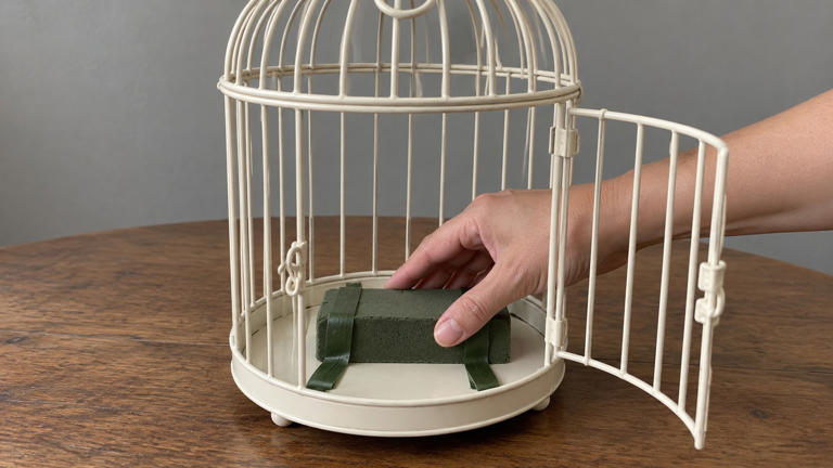 How can you decorate a birdcage without hiding its shape?