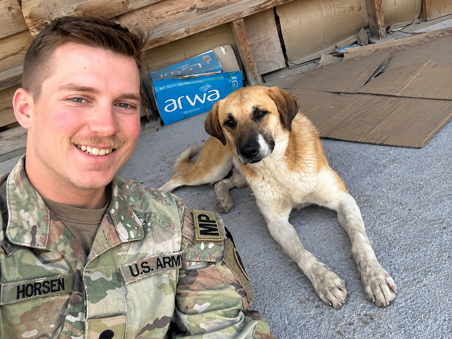 Turkey reunites 7,000 miles away after following a soldier’s patrol car