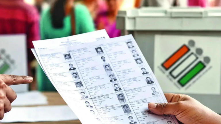 Action against Pilibhit officials: CEO flags 10,470 irregular voter ...