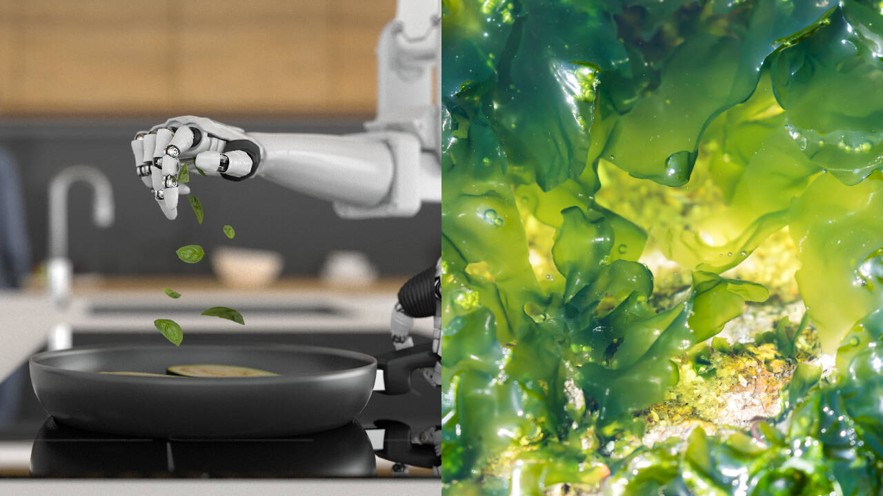 Dutch scientists build light-powered robotic arm using living algae and ...