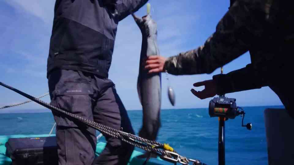 This deep-sea fish has a transparent head, and scientists discovered ...