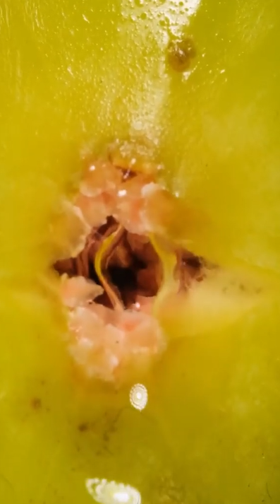 Fig texture revealed in extreme close-up