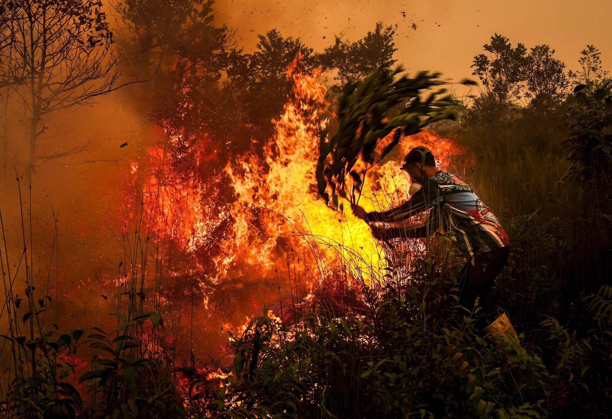 Indonesian wildfires threaten world’s oldest cave paintings in Sulawesi