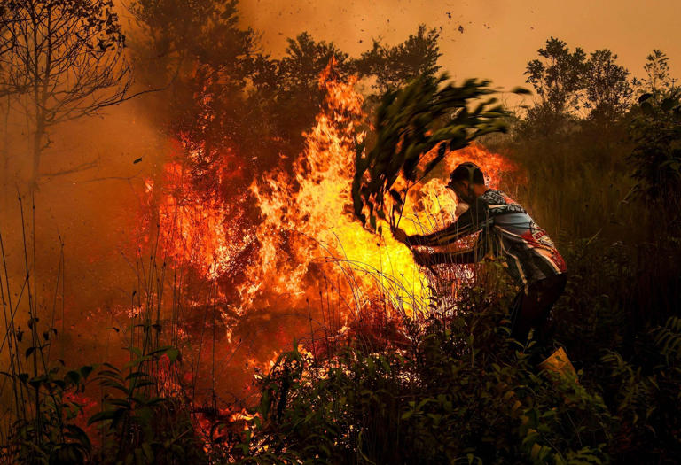 Indonesian wildfires threaten world’s oldest cave paintings in Sulawesi