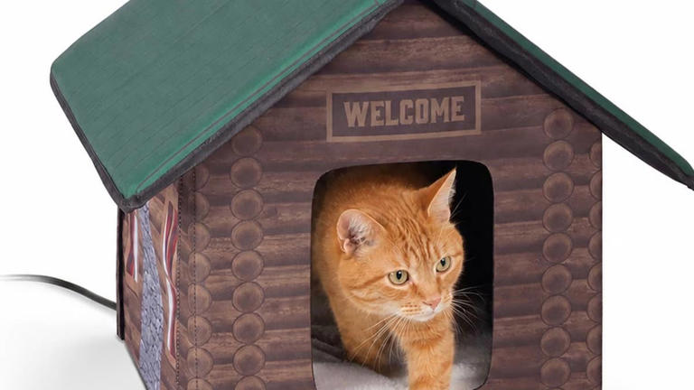 Chewy's heated outdoor cat house gives neighborhood kitties a cozy ...