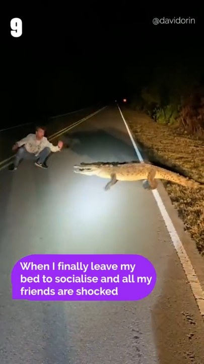 How do snakes eat 🤯