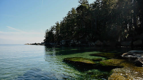 Exploring Hornby Island: Inside the seaweed school adventure