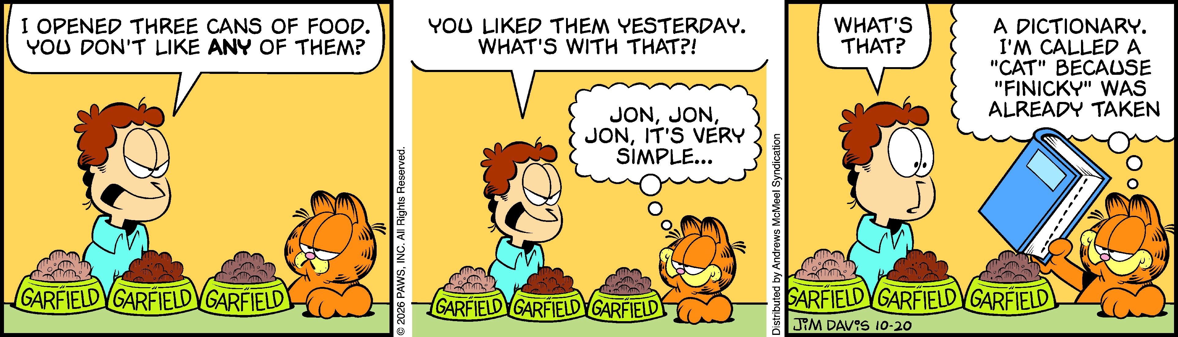 Garfield by Jim Davis