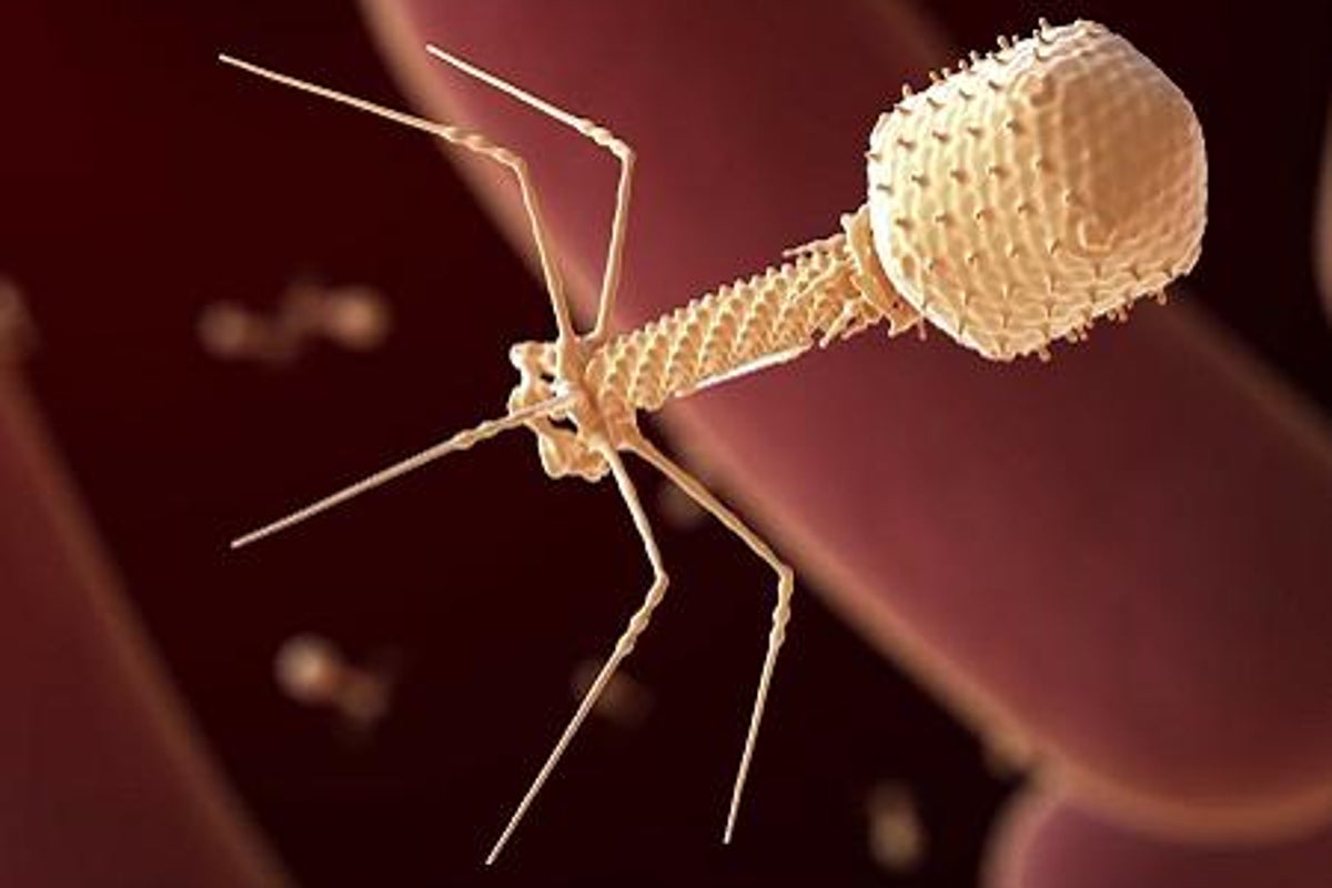 California startup says it has injected AI-designed virus into humans