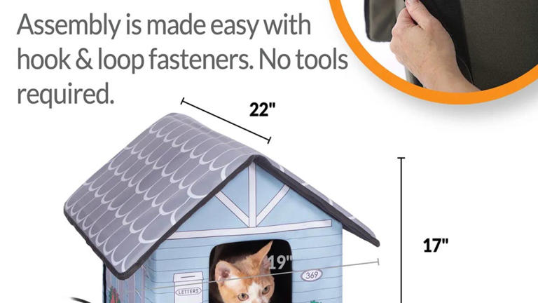 Chewy's heated outdoor cat house gives neighborhood kitties a cozy ...