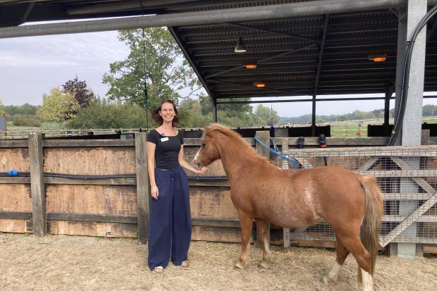Animal welfare centre turns to solar power to save money on energy bills