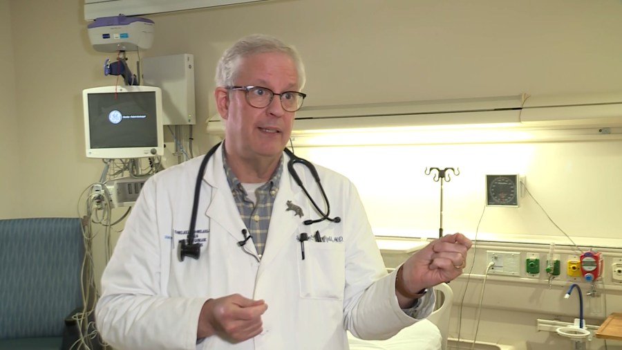 ‘Now is the time': 2026 flu shot expected to provide better protection