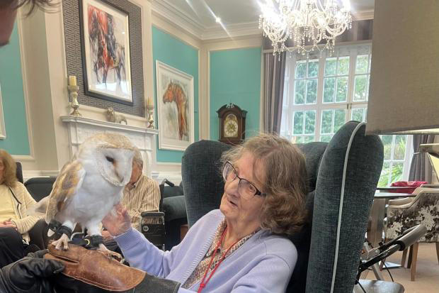 Birds of prey make special visit to care home as residents get up close
