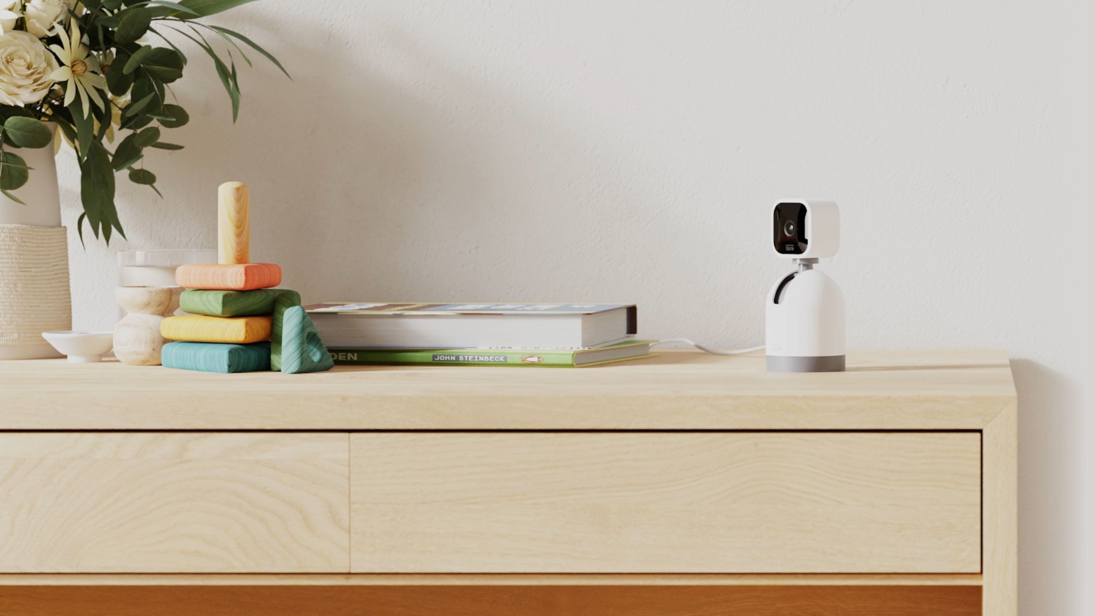 Ditch multiple fixed cameras for this Blink Mini Pan-Tilt that covers ...
