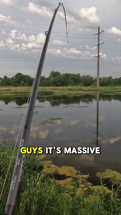 My small fish turned into something bigger!