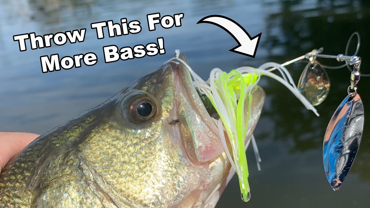 The fake fall spinnerbait bite during a summer cold front