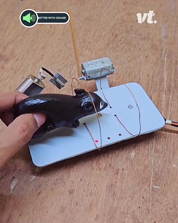 Fake mouse trap with a twist