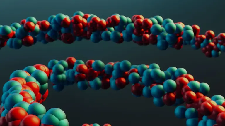 Reducir ASNS mejora el crecimiento cerebral en ratones