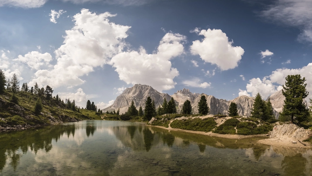 Bring nature’s beauty to your screen