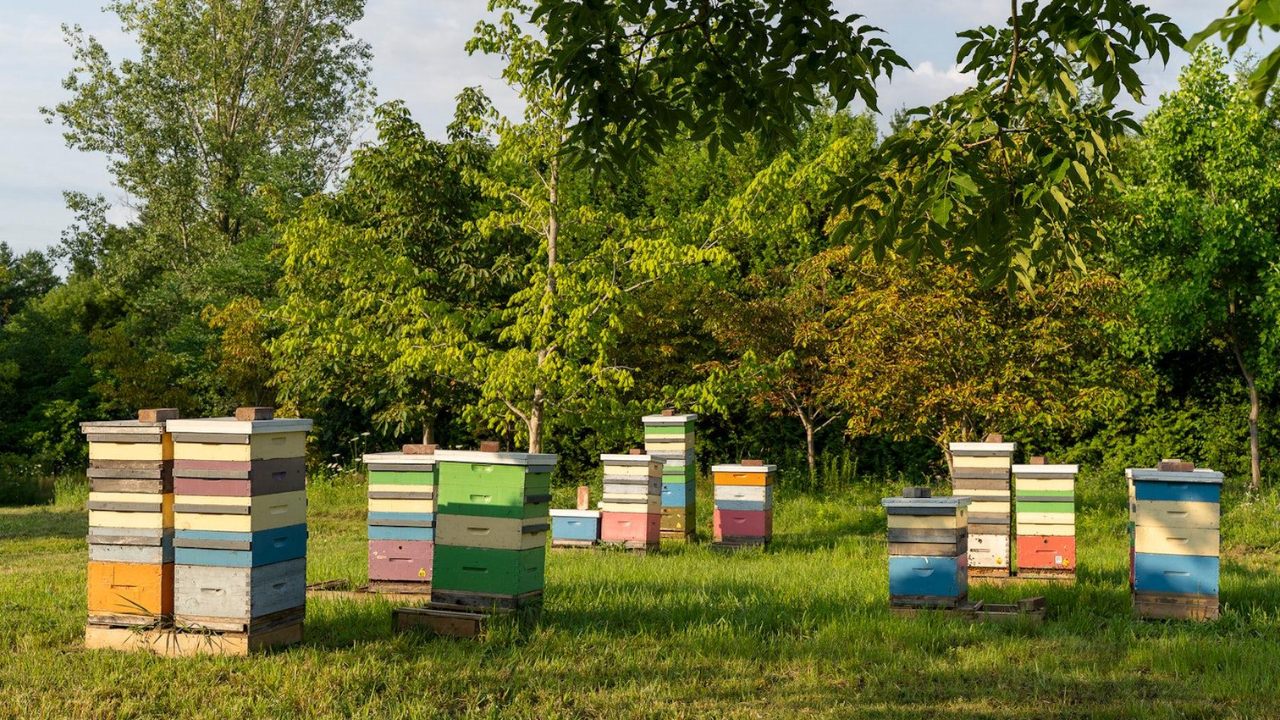 Canadian conservation club with just 4 members to donate nearly 100 ...
