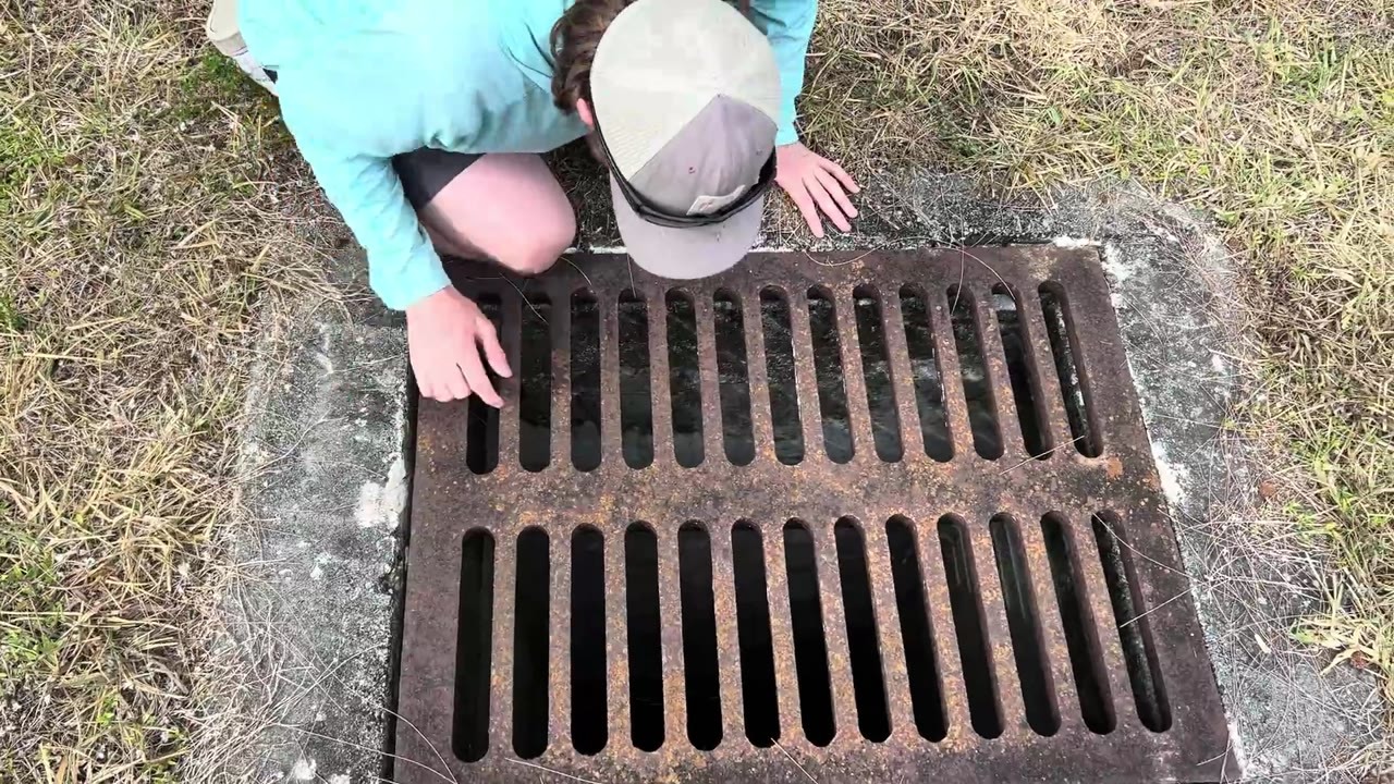 A sewer exploration focuses on aquarium fish