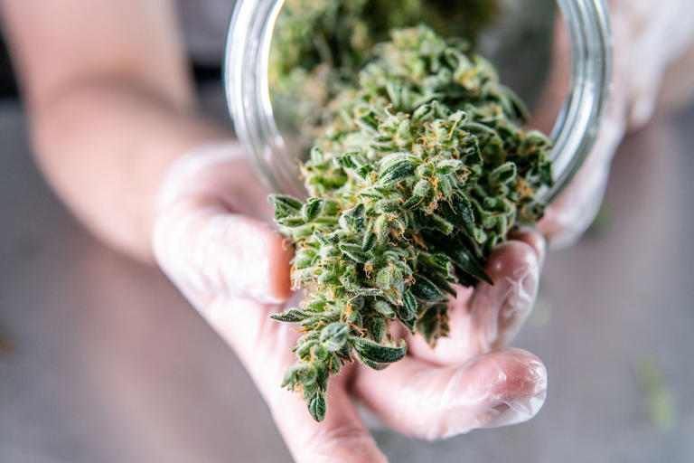 Dear Abby: Our granddaughter reeks of pot when we pick her up from her ...