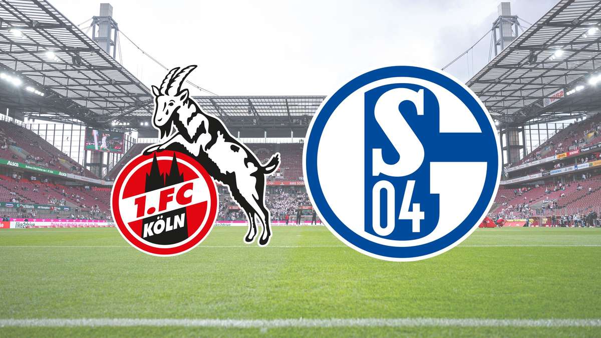 Schalke 04 gegen 1. FC Köln: Muslic verrät seinen El-Mala-Plan