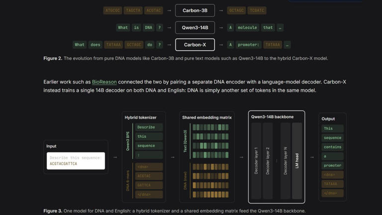 Hugging Face introduces AI model that can analyse your DNA with a ...