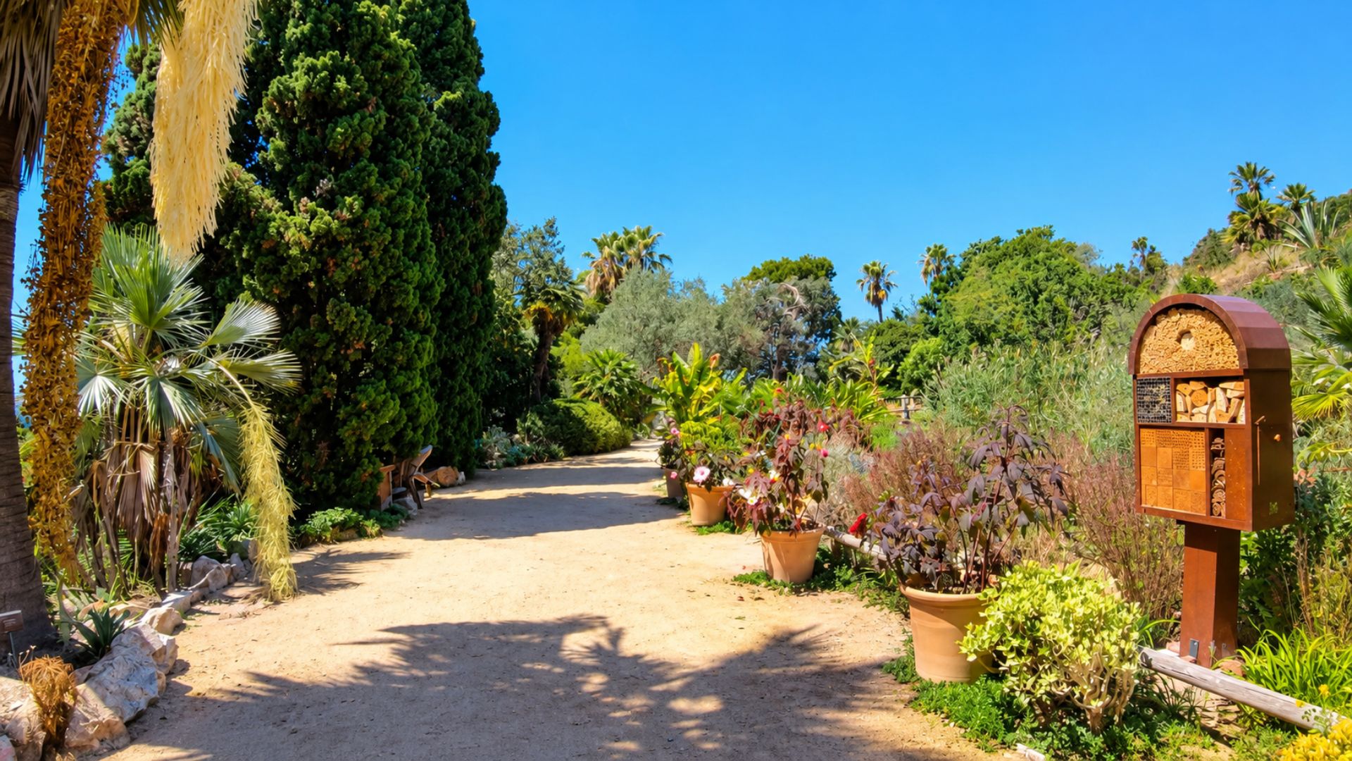 Discovering exotic plants and palm trees at Marimurtra Botanical Garden ...