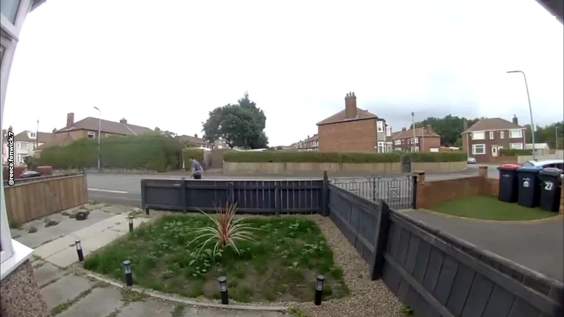 Owner checks CCTV and is stunned by what her cat did to protect its home