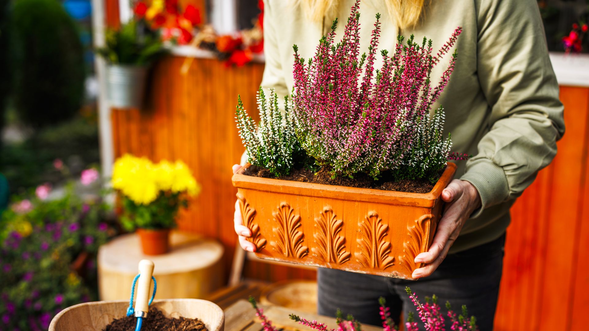 The quick trick that keeps potted plants alive through fall and winter