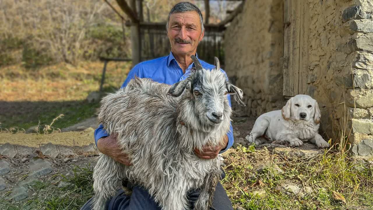 Fresh goat meat becomes a traditional Caucasian kebab in the ...