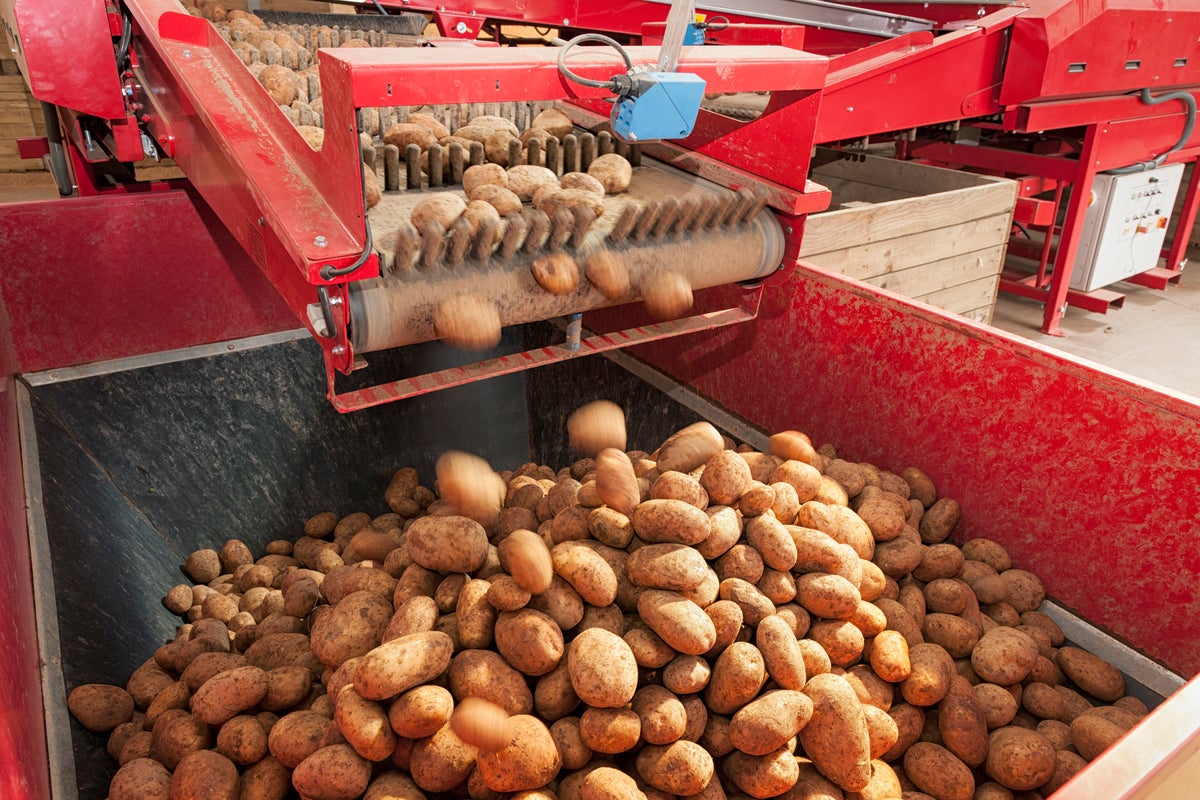 From potatoes to carrots, the everyday veg disappearing before our eyes