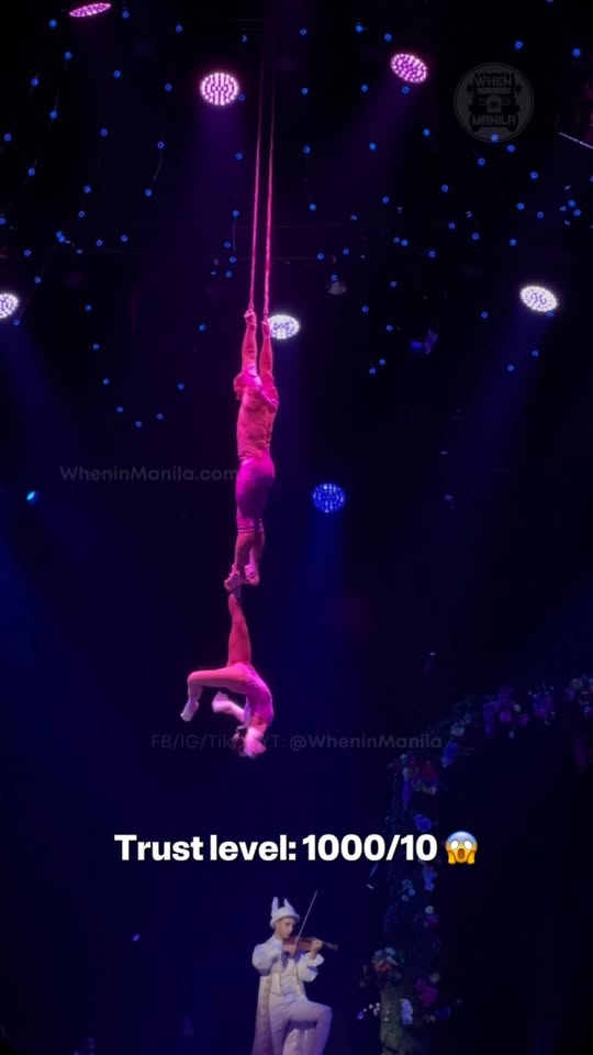 This Cirque Alice aerial duo performance is a masterclass in trust and ...