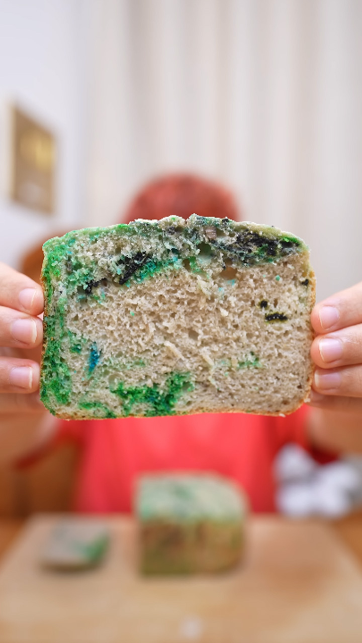 Bizarre kitchen experiment turns fuzzy food mold into bread