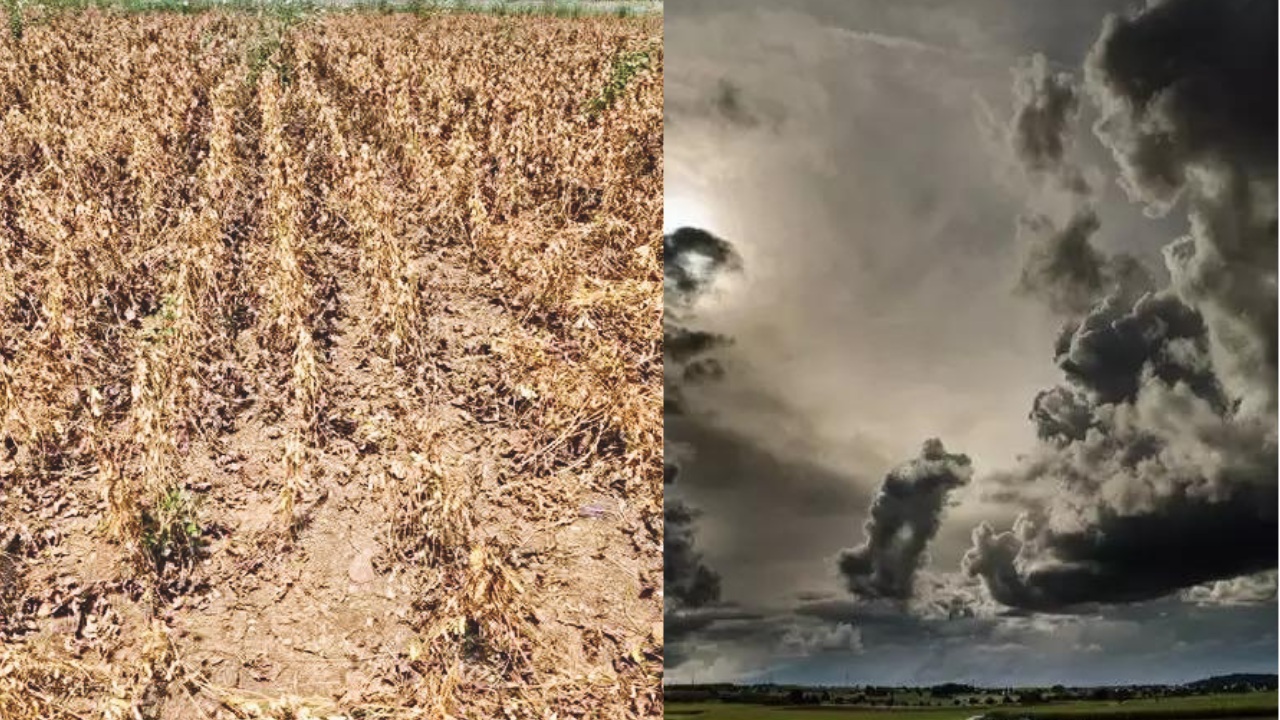Marathwada, west Vidarbha move into hotter, drier climate zone; IMD ...