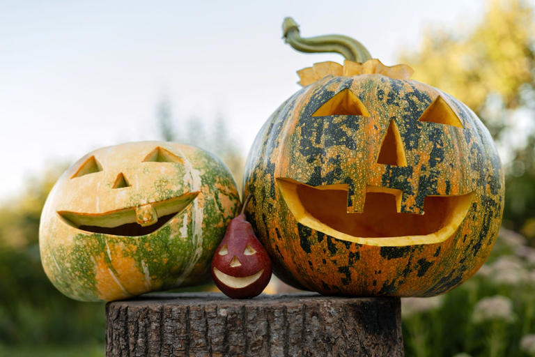 10 things you didn’t know you could carve other than pumpkins