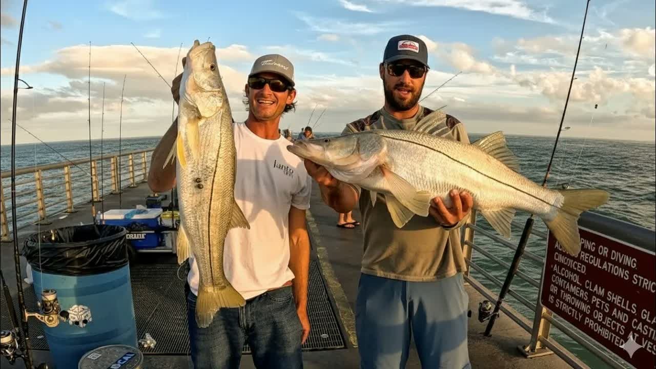 Jetty snook fishing leads to a taste test of an overlooked fish cut