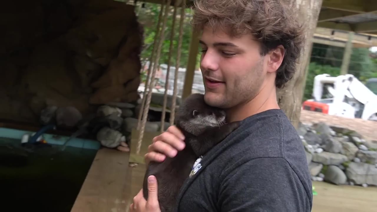 Paul Cuffaro’s pond build features a baby otter and large fish