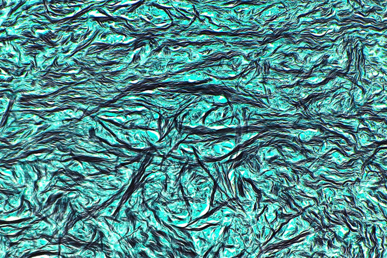 The truth about collagen and younger looking skin, according to experts