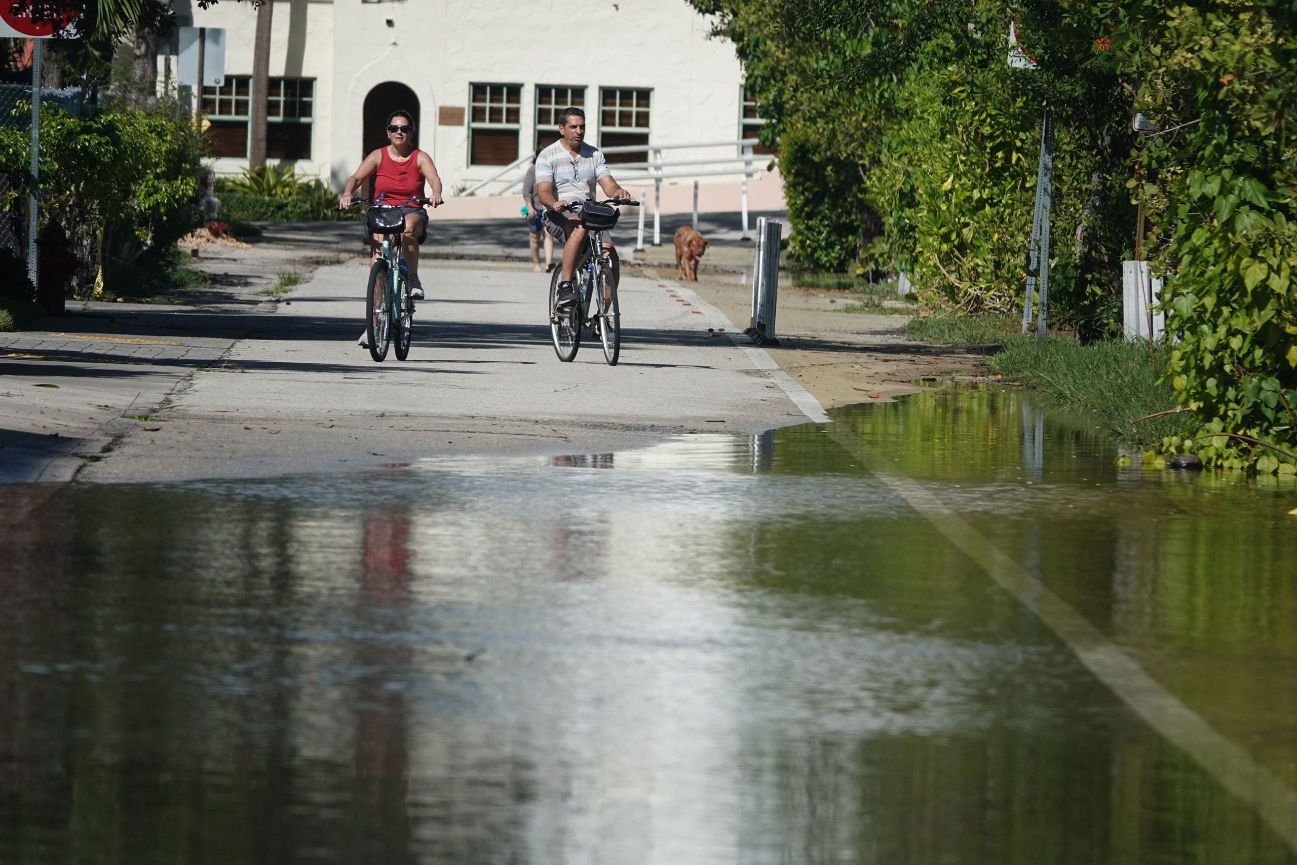 King tides drive coastal flood threat from Miami to Charleston as tropical rain soaks South Florida