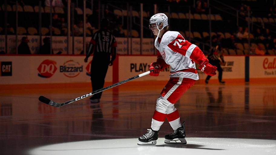 A shiny new Swedish forward has emerged with the Griffins