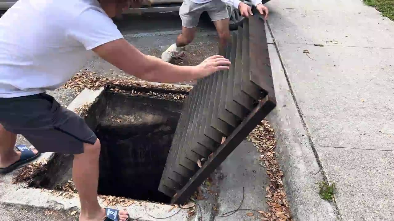A sewer exploration uncovers fish described as sharks