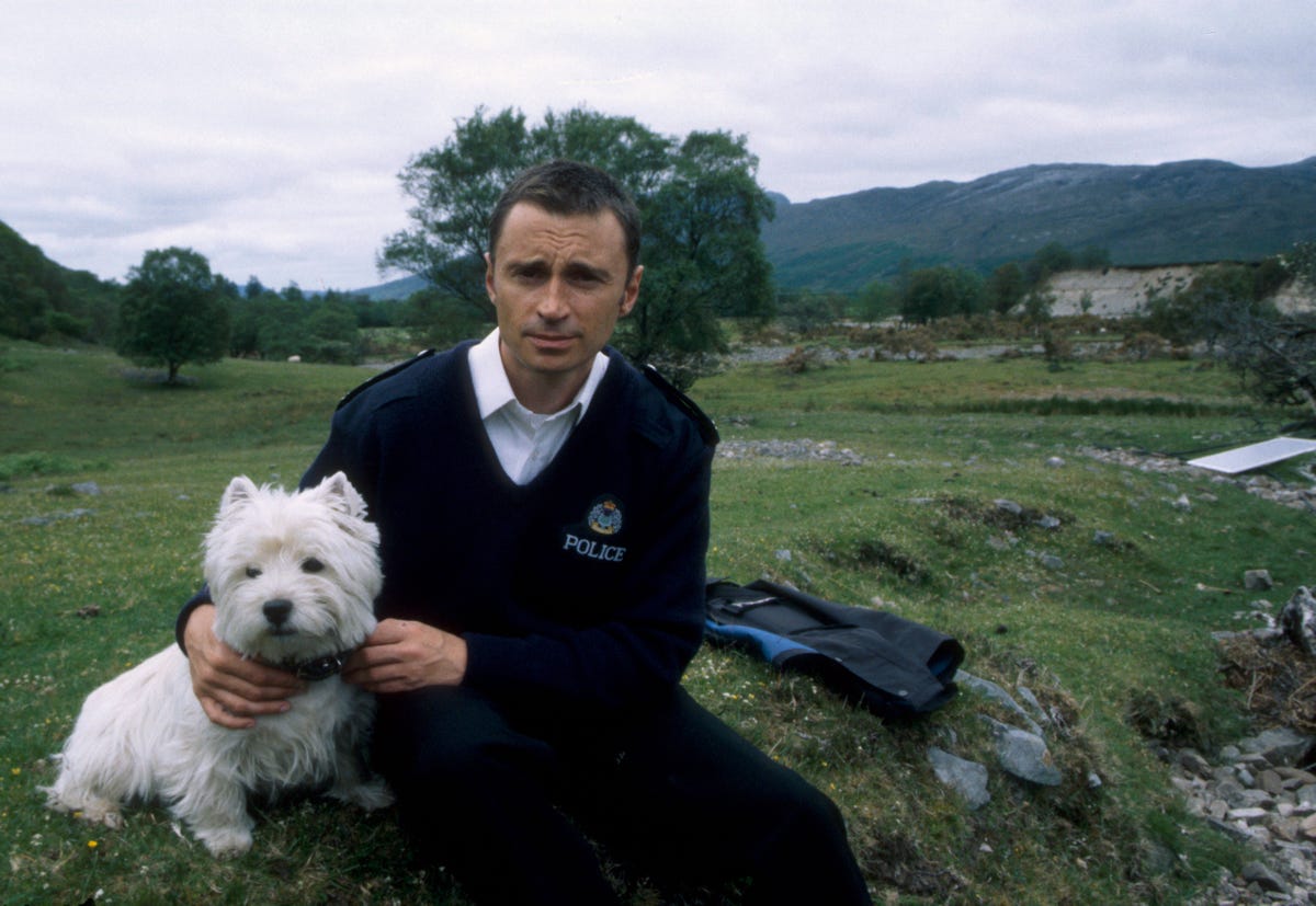 Step aside, Shetland! 8 “fantastic” detective dramas to watch this ...