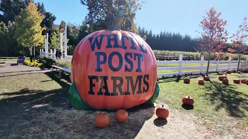 Fall fun on Long Island: Farms, pumpkins and fresh cider