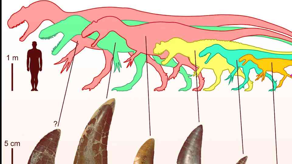 T rex was only the beginning: Five prehistoric predators with ...