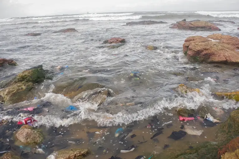 Oceans ranked by plastic pollution