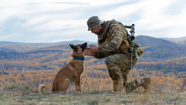 Dallas startup Warhound raises $200 million for gene-edited military dogs