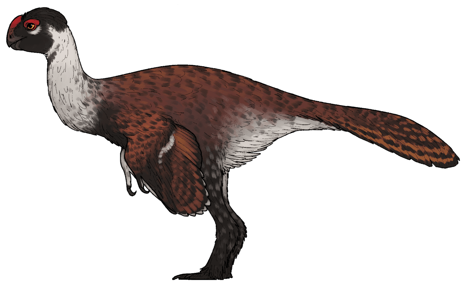 Dieser Dinosaurier besitzt ein typisches Merkmal heutiger Papageien
