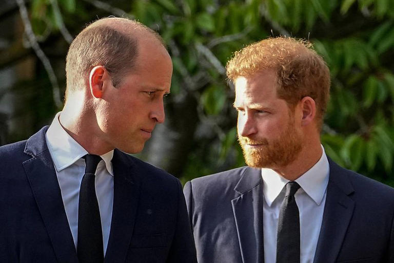 Prince Harry's unusual behaviour during Donald Trump meeting left me ...